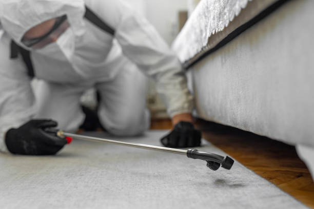 Professional Pest Control technician working in Pine Bush, NY
