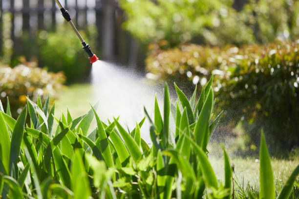 24/7 Emergency Termite Control experts in Pine Bush, NY