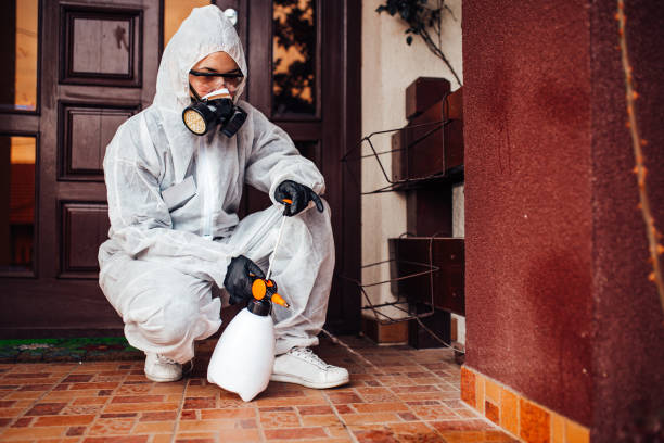 Reliable Termite Control contractor in Pine Bush, NY by Nex Pest Control