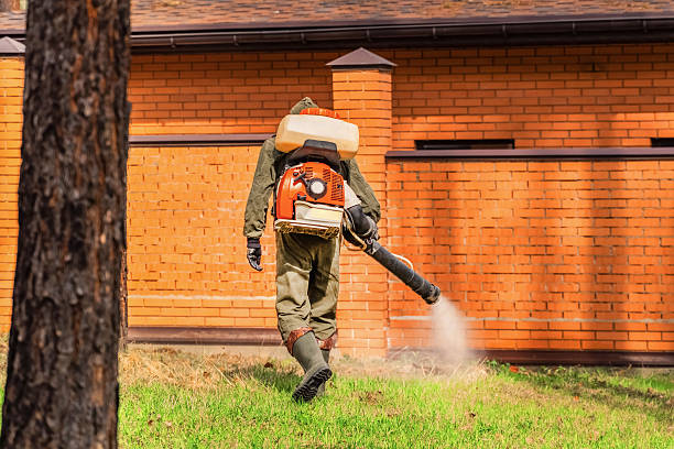Trusted Cockroach Control service in Pine Bush, NY - Nex Pest Control